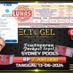 BUKTI JACKPOT TOGEL POOL SYDNEY TERPECAYA DI INDONESIA TGL 13-06-2024